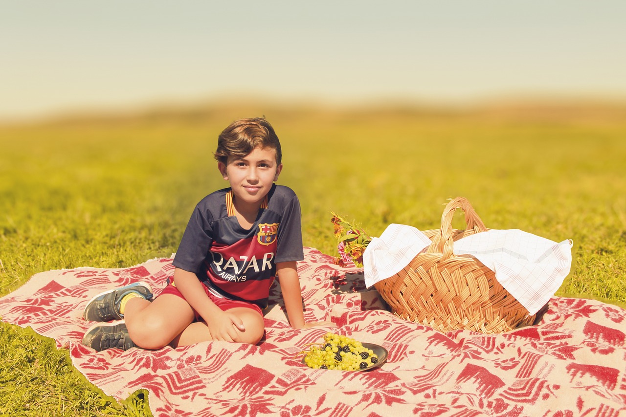 How to ensure food safety during picnics?